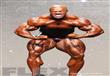 Mr. Olympia 2014                                                                                                                                      