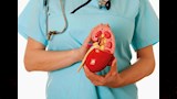عادات تدمر الكلى                                  