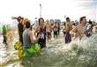  أوروبيون يرمون أنفسهم في الماء ''المثلج'' احتفالا بالعام الجديد                                                                                      
