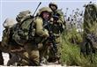 جيش الاحتلال الإسرائيلي                           