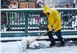 نيويورك تتحول لمدينة أشباح بسبب العاصفة الثلجية (4)                                                                                                   