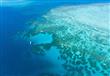الحاجز المرجاني العظيم، أستراليا                                                                                                                      