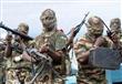 بوكو حرام تحوز أسلحة محرمة دوليا