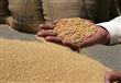 مصر تشتري 240 ألف طن قمح فرنسي وروماني لإنتاج الخب