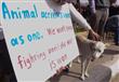 العشرات يتظاهرون بالأوبرا رفضًا لذبح كلب الأهرام (17)                                                                                                                                                   