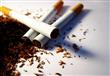 الصحة: 40% من الرجال مدخنين