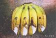  فنان يحول الموز للوحات فنية                                                                                                                                                                            