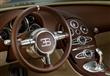 bugatti-veyron-(5)