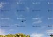 طائرات الأباتشي تحلق في سماء شرم الشيخ (2)                                                                                                                                                              