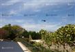 طائرات الأباتشي تحلق في سماء شرم الشيخ (4)                                                                                                                                                              