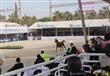 بطولة مصر لجمال الخيول العربية المصرية الاصيلة (10)                                                                                                                                                     