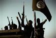 سيطر مقاتلو "الدولة الإسلامية" على أكثر من نصف مدي