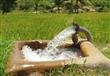 خطة مشتركة بين الزراعة والري لحل مشاكل نقص مياه ال