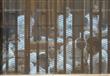 قرار محكمة الجنايات في قضية مذبحة بورسعيد (8)                                                                                                                                                           
