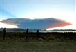  بركان يثور بعد 43 عام على خمود حممه في تشيلي                                                                                                                                                           