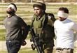 إسرائيل تعتقل 8 فلسطينيين في الضفة الغربية 