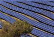 محطة ميس لتوليد الطاقة الشمسية  (3)                                                                                                                                                                     