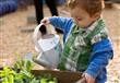 أعشاب ونباتات طبية في منزلك غير آمنة للأطفال!