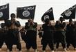 داعش لا يشكل في المرحلة الراهنة تهديدا عسكريا لإسر