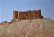 آثار مدينة تدمر السورية (4)                                                                                                                                                                             