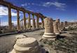 آثار مدينة تدمر السورية (8)                                                                                                                                                                             
