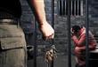 التعذيب في السجون والأقسام.. ممارسات ممنهجة أم حال