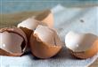 لاترمي قشور البيض ...6 استخدامات مذهلة لقشور البيض