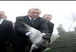 طائر يجلس فوق رأس أردوغان خلال افتتاح مسجد                                                                                                                                                              