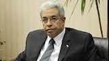 الدكتور عبدالمنعم سعيد                            