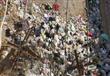 القمامة بالشوارع الجانبية ببورسعيد