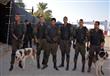 قوات خاصة من الجيش والشرطة لتأمين حفل عمرو دياب في جنوب سيناء                                                                                                                                           