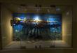 صور من داخل متحف وادي الحيتان في مصر