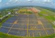 الهند.. أول مطار يعتمد على الطاقة الشمسية فقط