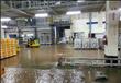 سيارات هيونداي الغارقة بسبب الفيضانات (6)