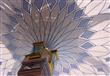 بالفيديو والصور: ماذا تعرف عن مظلة الحرم المكي.. الأكبر من نوعها في العالم ؟                                                                                                                            