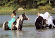 عروس تسقط من على الحصان يوم زفافها                                                                                                                                                                      