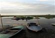 جفاف بحيرة مريوط يهدد 12 ألف صياد (9)                                                                                                                                                                   