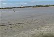 جفاف بحيرة مريوط يهدد 12 ألف صياد (13)                                                                                                                                                                  