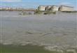 جفاف بحيرة مريوط يهدد 12 ألف صياد (14)                                                                                                                                                                  