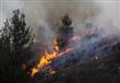 حرائق غابات في إسرائيل - أرشيفية