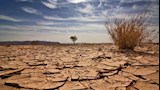 المنطقة العربية تواجه جفافًا حادًا ونقصًا في الموا
