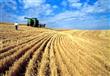 روسيا تتعهد بتصدير 50 مليون طن من الحبوب