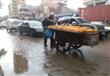 أمطار خفيفة بالإسكندرية (7)                                                                                                                                                                             