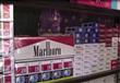 رفعت شركة فيليب موريس مصر أسعار منتجات السجائر