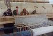 صناعة ​​الكليم​ فى كفر الشيخ مهنة قديمة (2)                                                                                                                                                             