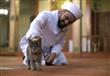 اهتمام محلي وأجنبي بإمام تركي يرعى القطط في المسجد