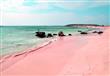 شاطئ الرمال الوردي يقع في جزر الباهاماس وسبب تكون اللون الوردي هو وجود الحيوانات الصدفية الوردية والحمراء تعيش في الشعب المرجانية.                                                                      