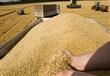 مصر تشتري 175 ألف طن من القمح الروماني والأوكراني