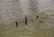 أطفال يهربون من الحر بالسباحة (7)                                                                                                                                                                       