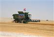 اطلاق إشارة بدء موسم حصاد القمح وقرار يخص سيناء (2)                                                                                                                                                     